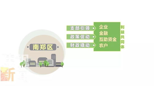 厲害了 漢中這個(gè)社區(qū)工廠生產(chǎn)的戶外服裝賣(mài)到了國(guó)外